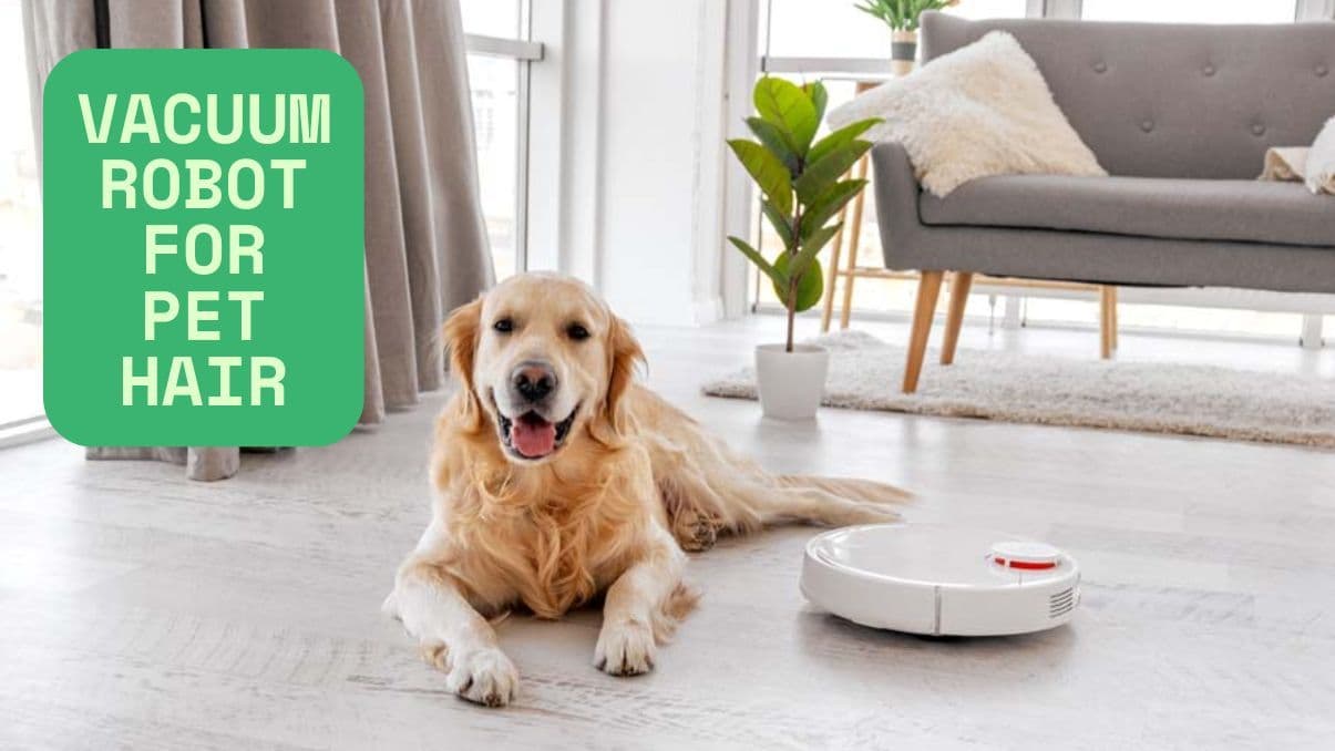 Choosing the Right Vacuum Robot for Pet Hair: What You Need to Know