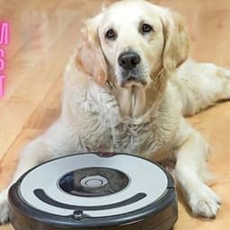 How to Use Vacuum Robots for Pet Hair: Tips and Insights