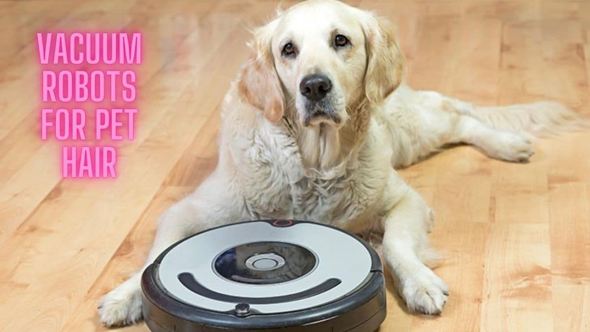 How to Use Vacuum Robots for Pet Hair: Tips and Insights