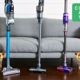 Understanding Cordless Animal Vacuums for Pet-Friendly Homes