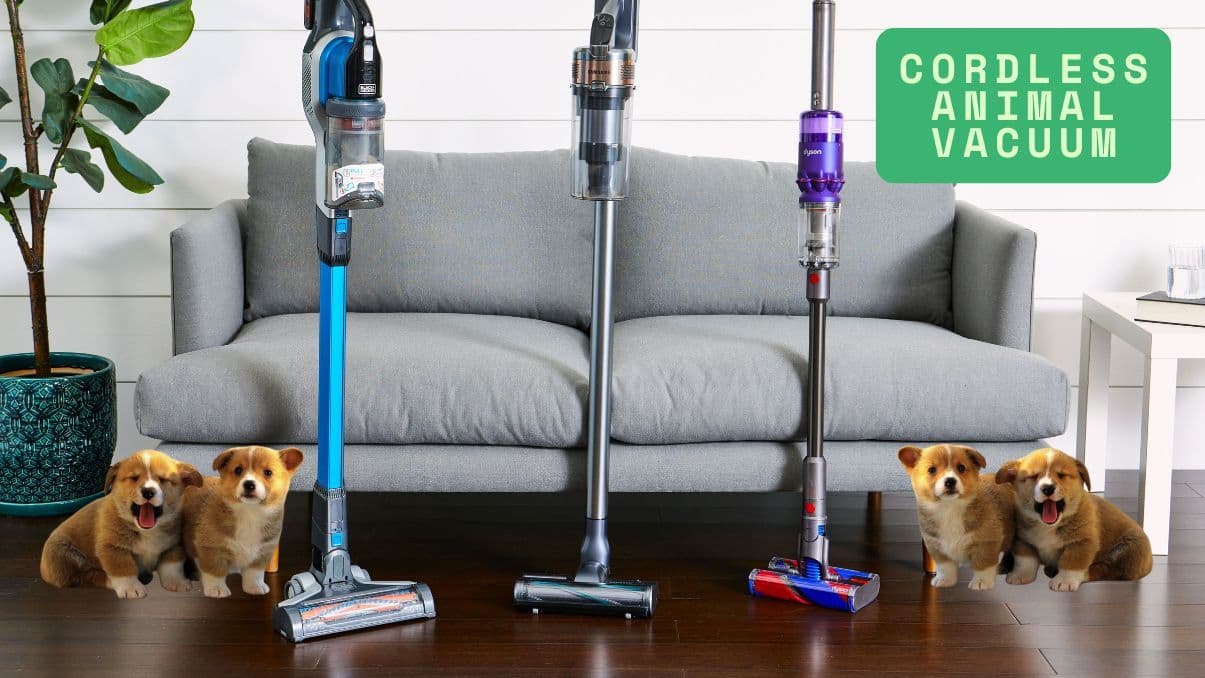 Understanding Cordless Animal Vacuums for Pet-Friendly Homes