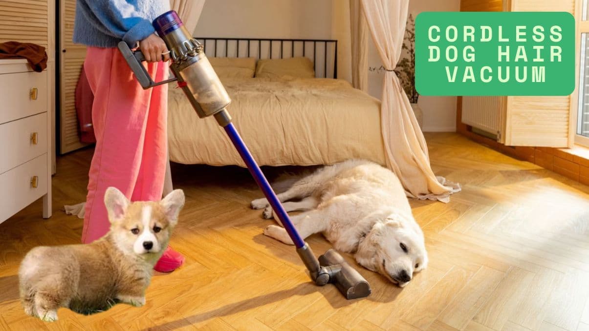 Understanding Cordless Dog Hair Vacuums: What You Need to Know
