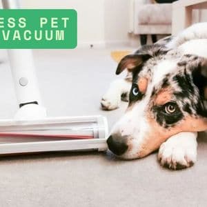 Cordless Pet Hair Vacuum: A Practical Guide for Pet Owners
