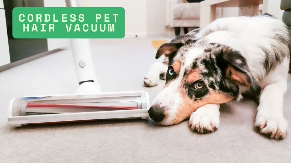 Cordless Pet Hair Vacuum: A Practical Guide for Pet Owners