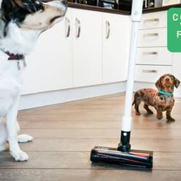 Cordless Vacuum for Pet Hair: What You Need to Know