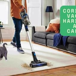 Choosing a Cordless Vacuum for Hardwood and Carpet