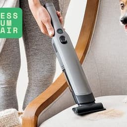 Understanding the Power of a Cordless Vacuum for Pet Hair
