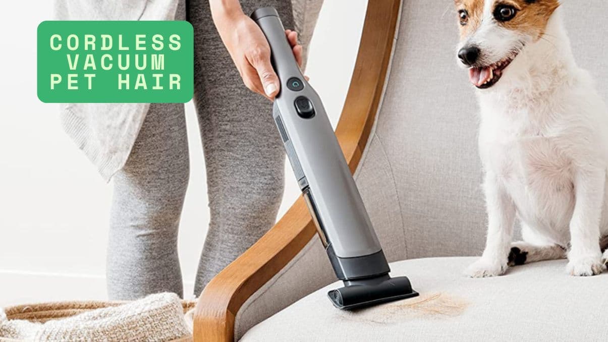 Understanding the Power of a Cordless Vacuum for Pet Hair
