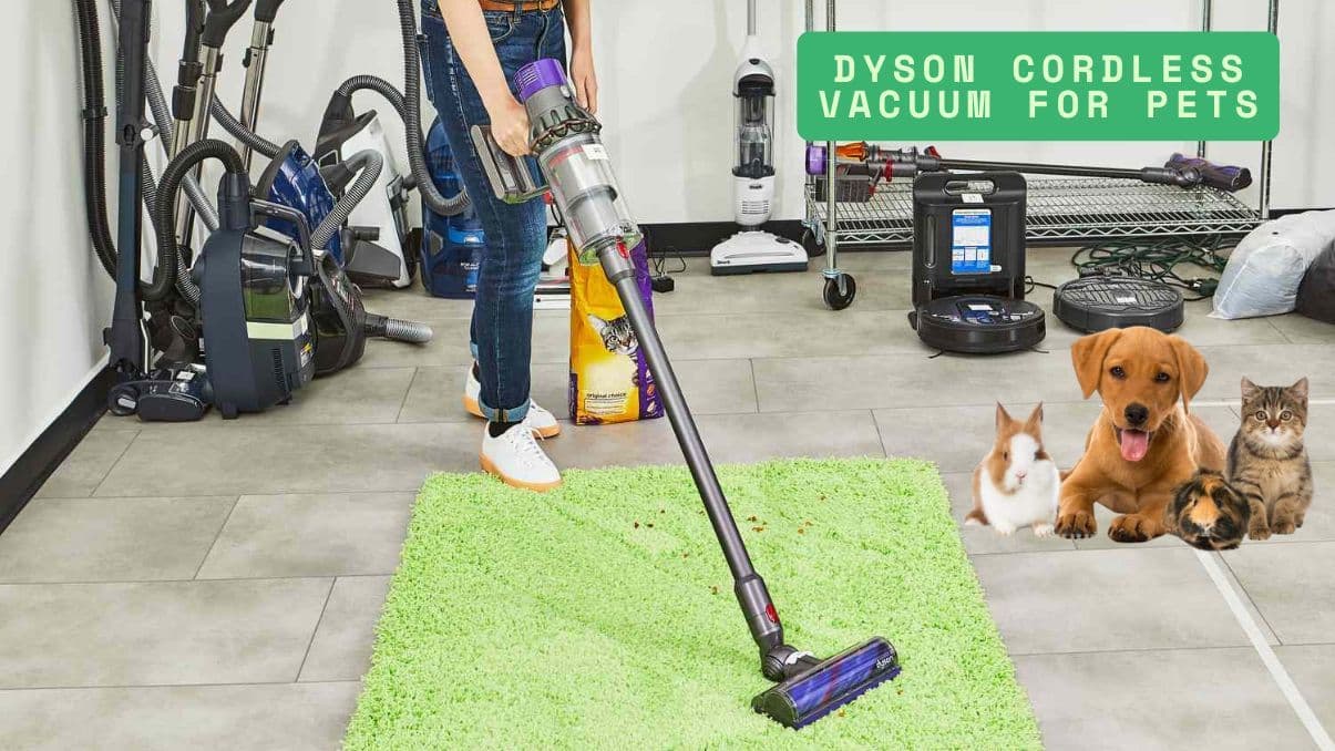 Understanding the Dyson Cordless Vacuum for Pets: A Practical Guide
