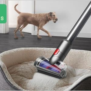 Dyson Pet Cordless Vacuum: What Pet Owners Should Know