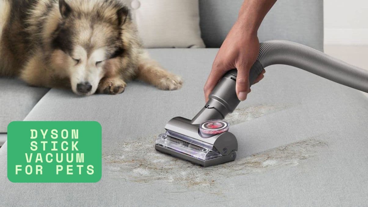 Understanding the Dyson Stick Vacuum for Pets: What You Need to Know