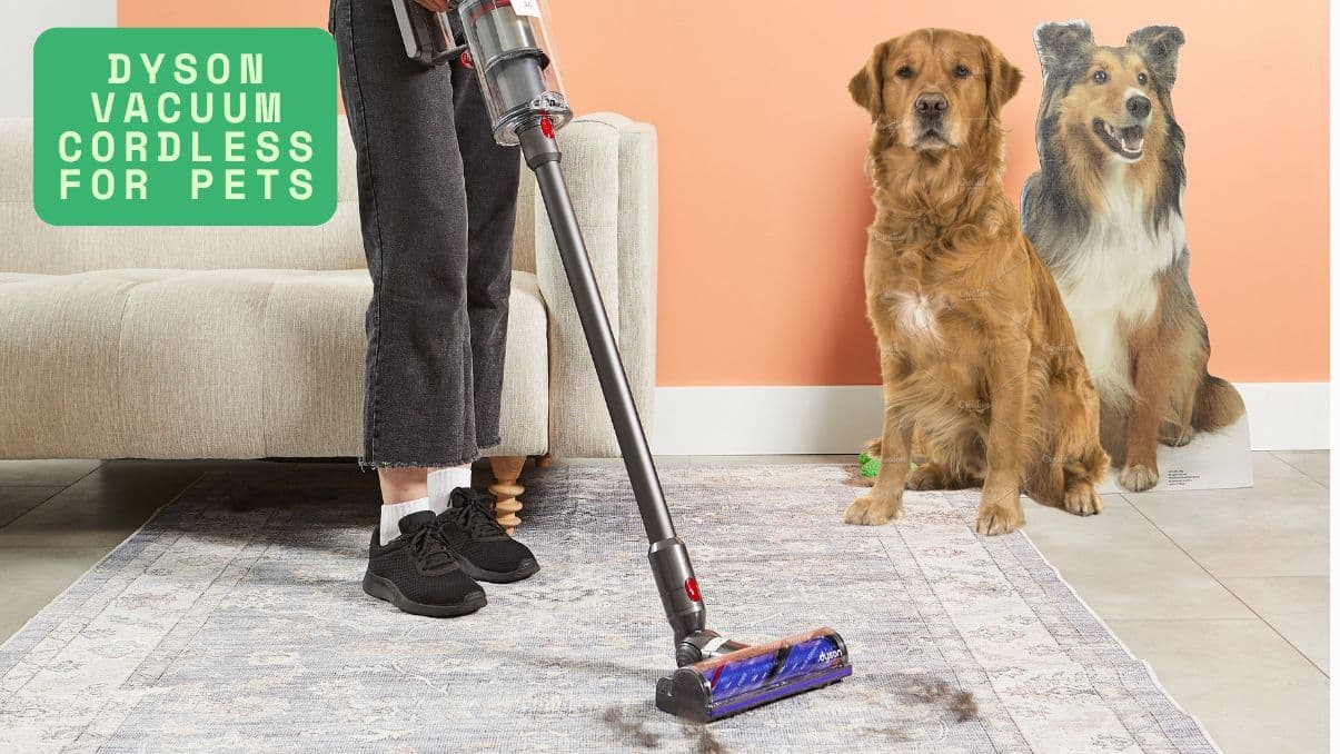 What to Know About Using a Dyson Vacuum Cordless for Pets