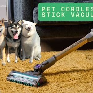 How a Pet Cordless Stick Vacuum Helps Keep Pet Hair Under Control