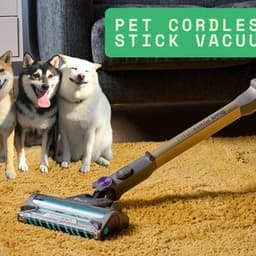How a Pet Cordless Stick Vacuum Helps Keep Pet Hair Under Control