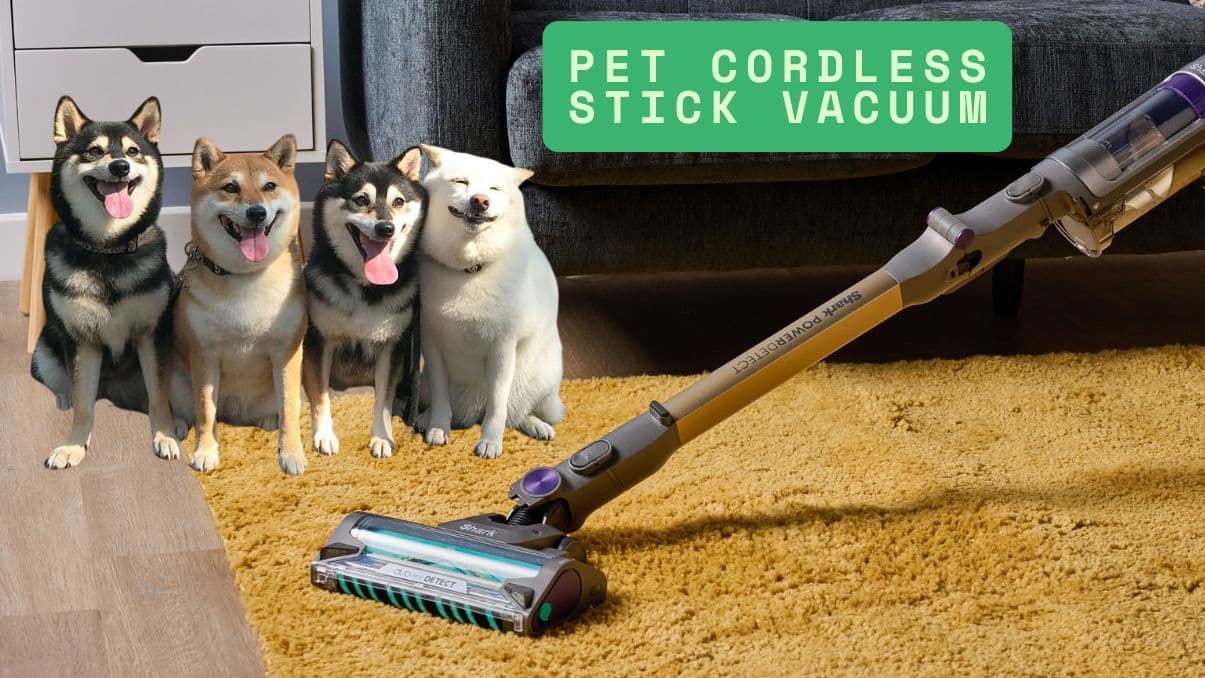How a Pet Cordless Stick Vacuum Helps Keep Pet Hair Under Control
