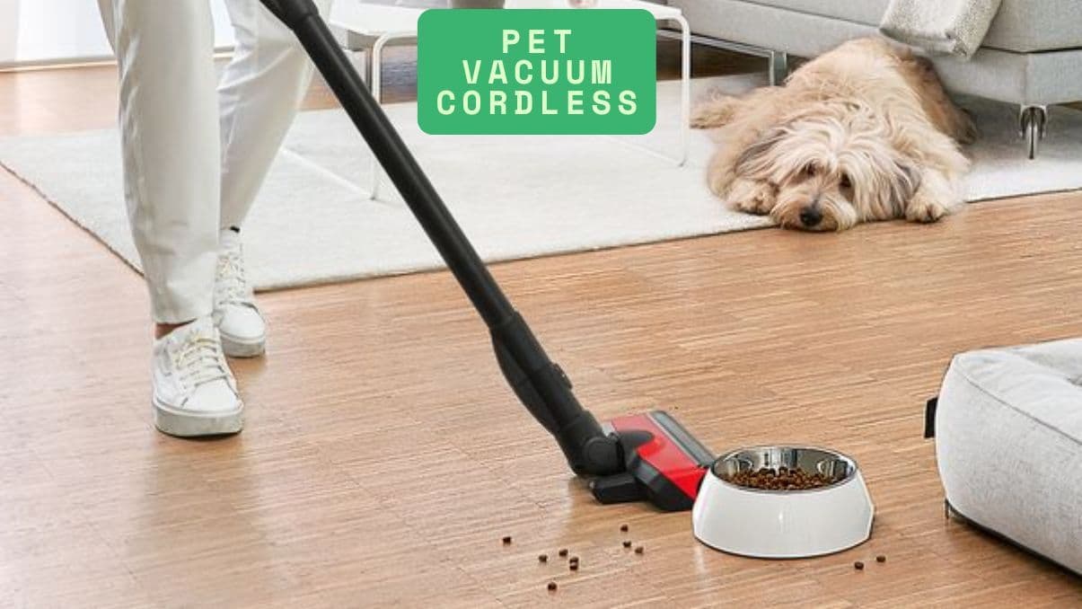Pet Vacuum Cordless Buying Guide for Pet-Friendly Homes