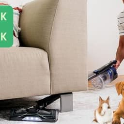 Understanding the Shark Pet Stick: Features, Uses, and Benefits
