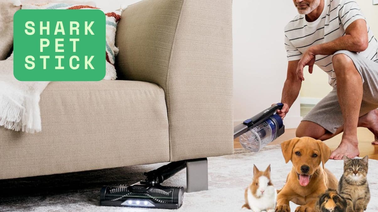 Understanding the Shark Pet Stick: Features, Uses, and Benefits