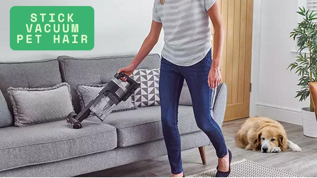 Stick Vacuum Pet Hair: What to Know Before You Buy