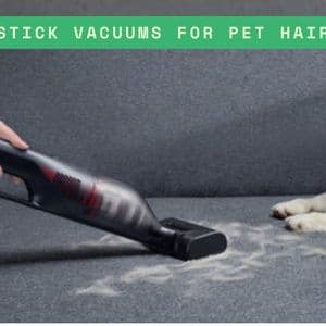 Stick Vacuums for Pet Hair: A Complete Guide for Pet Owners
