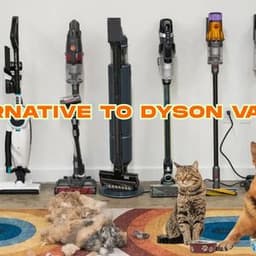 Alternative to Dyson Vacuum: Understanding Options That Fit Your Needs