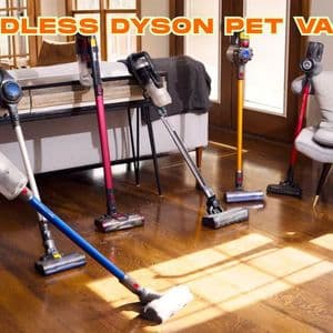 Cordless Dyson Pet Vacuum: A Practical Guide for Pet Hair Control