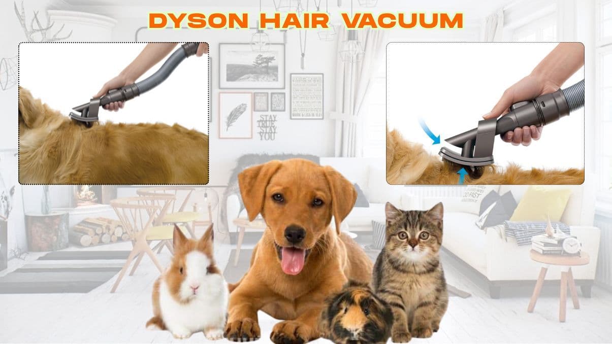 Understanding How a Dyson Hair Vacuum Works for Home Cleaning