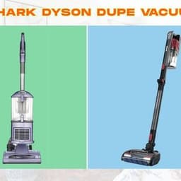 Shark Dyson Dupe Vacuum: What You Need to Know Before Buying