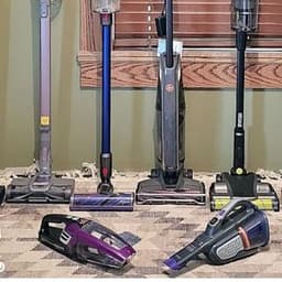Dyson Cordless Vacuum Animal: Features, Performance & Insights