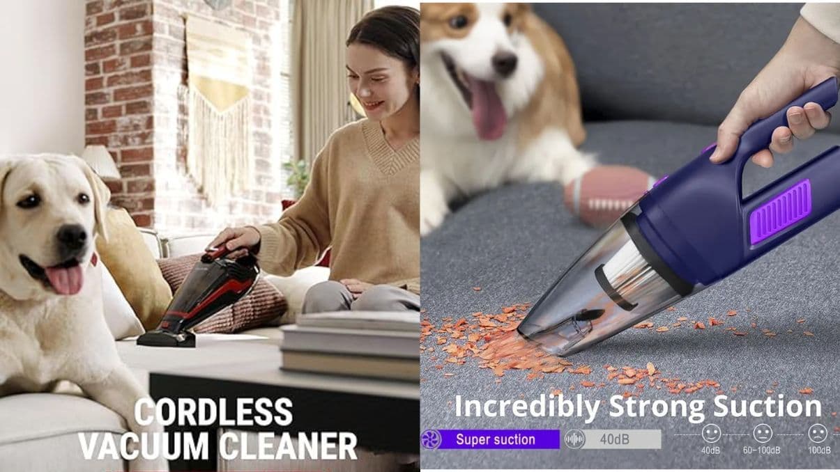 Car Vacuum for Dog Hair: Complete Guide to Cleaner Cars