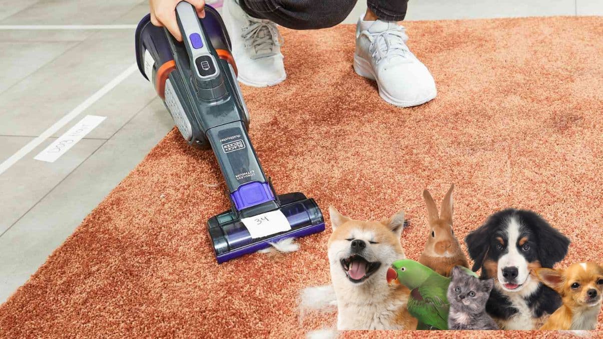 Handheld Pet Vacuum Cordless: Complete Guide for Pet Owners