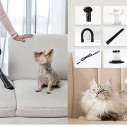 Handheld Vacuum for Dog Hair: Complete Guide for Pet Owners