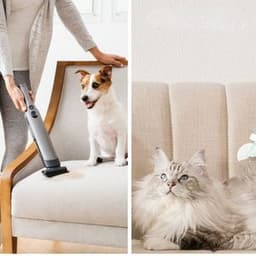 Pet Hand Vacuum Guide: Tips for Effective Hair Removal