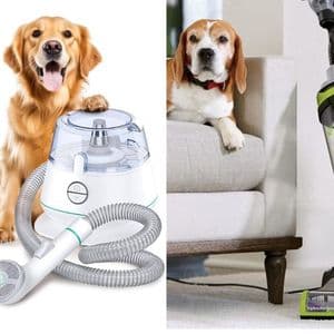 Small Vacuum for Pets: Deep Cleaning Guide for Pet Owners