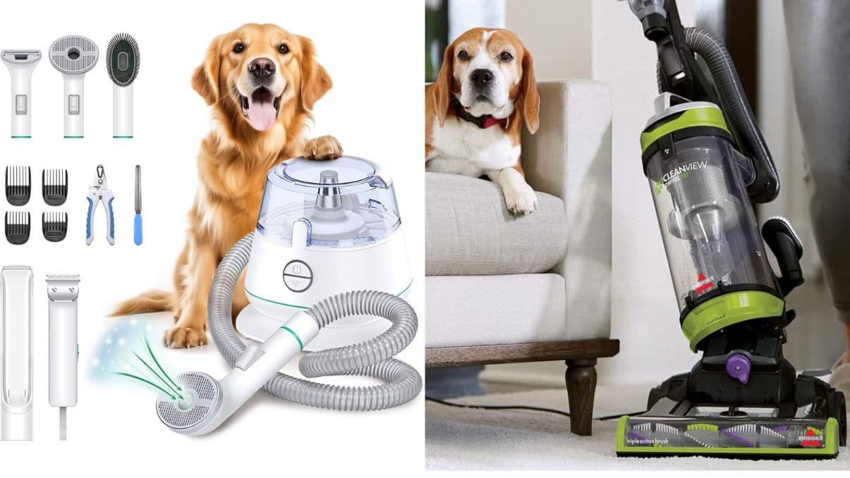 Small Vacuum for Pets: Deep Cleaning Guide for Pet Owners