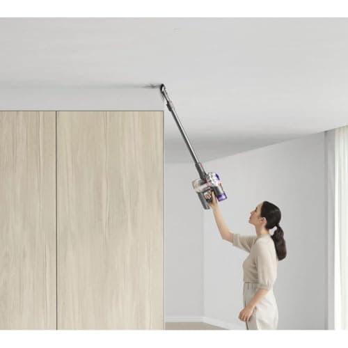 Dyson V8