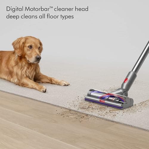 Dyson 448182-02 V15 Detect SV47 (Renewed)