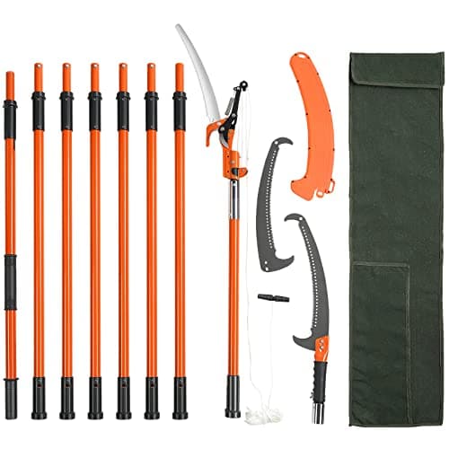 The Best Pole Saws For Tree Trimming 2025 | Side-by-Side Review