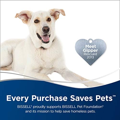Bissell Pet Eraser Corded Hand Vac, Pink Pet Hair Corded (33A1C), Black/Pink