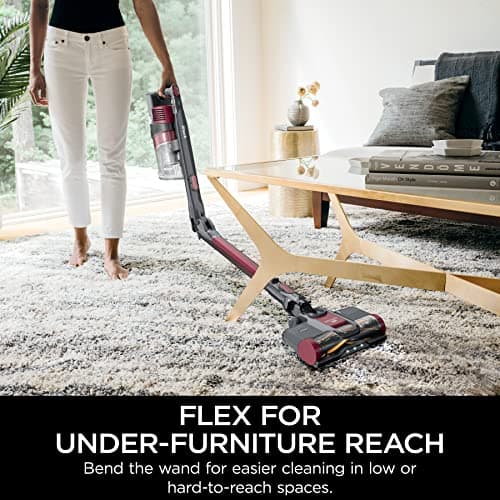 Shark IZ163H Pet Plus Cordless Stick Vacuum with Self-Cleaning Brushroll and HEPA Filter, Lightweight Deep Cleaning Vacuum for Carpet and Hard Floors, Folds for Easy Storage, 40-min Runtime, Raspberry