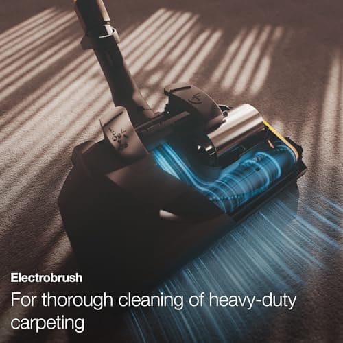 Miele Complete C3 Cat & Dog Canister Vacuum, Model Number: 10014520