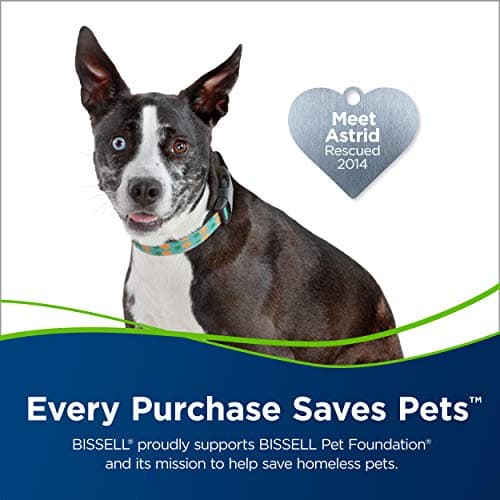 Bissell Pet Hair Eraser Turbo Rewind Vacuum, Lightweight, Automatic Cord Rewind, Tangle-Free Brush Roll, Headlights, Powerful Pet Hair Pickup, SmartSeal Allergen System, Blue, 27909