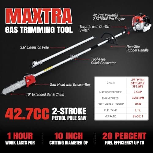 Gas Powered Pole Saw, 16-FT Height Reachable Cordless Extension Chainsaw for Tree Trimming with 3.6ft Extension Pole Reach to 16 feet for Tree Limb Branches Pruning, Classical Saw Head