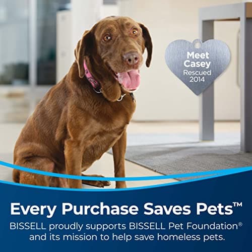 Bissell TurboClean Cordless Hard Floor Cleaner Mop and Lightweight Wet/Dry Vacuum, 3548
