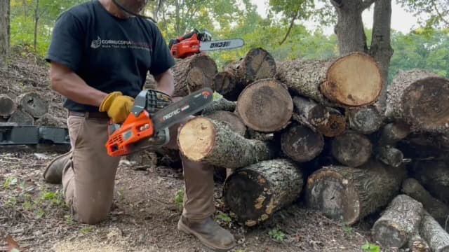 NEO-TEC 12'' Top Handle Gas Chainsaw,2-Stroke 25.4cc Portable Chain Saws for Trees Gas Powered Wood Cutting