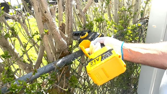 2-in-1 Electric Pole Saws for Tree Trimming,8" Mini Chainsaw Cordless with Extension Pole, 1000W Brushless Motor,Auto Oiling,15.58 FT Max Reach Extension Pole for Outdoors Pruning with 2×Batteries