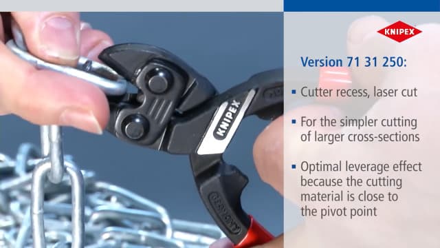 KNIPEX Tools - CoBolt Compact Bolt Cutter With Notched Blade (7131250SBA), 10"