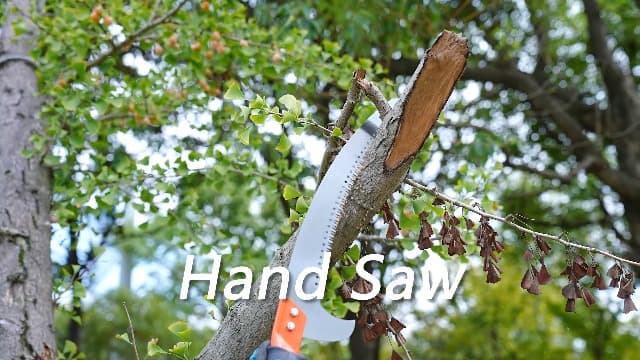 Walensee Pole Saws for Tree Trimming 14 FT Lightweight Manual Stainless Steel Extension High Pole Pruning Pole Saw with Blade for Trimmer Branches Pole Cutter Pole Pruner at Forestry Yard Garden Patio