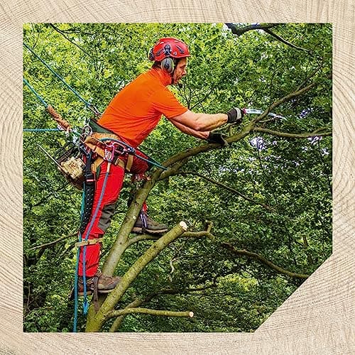 Oregon (600136) Curved Premium Japanese High-Carbon Steel Hand Saw, Rust Proof Forestry/Pruning/Cutting Tool, Curved Blade with Scabbard Safety Sheath,Red,13"