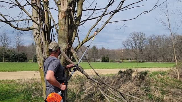 48CC Gas Powered Pole Saws,2-Stroke Gas Pole Saws for Tree Trimming with11.5in Cutting Bar,16 FT Extendable Pole Chainsaw Tree Trimmer